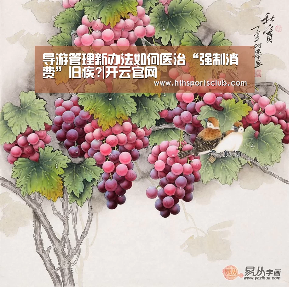 导游管理新办法如何医治“强制消费”旧疾?|开云官网