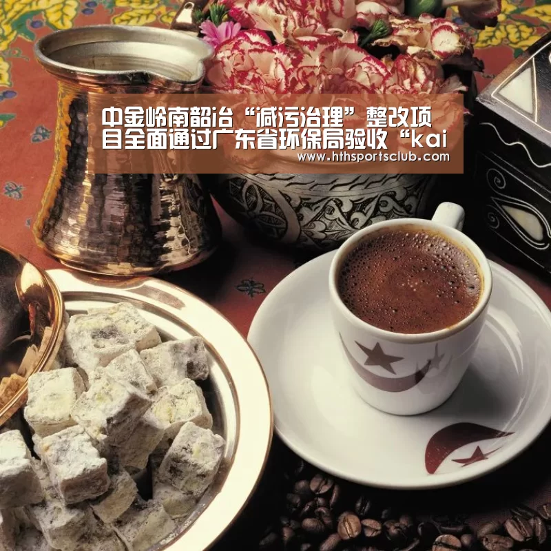 中金岭南韶冶“减污治理”整改项目全面通过广东省环保局验收“kaiyun”